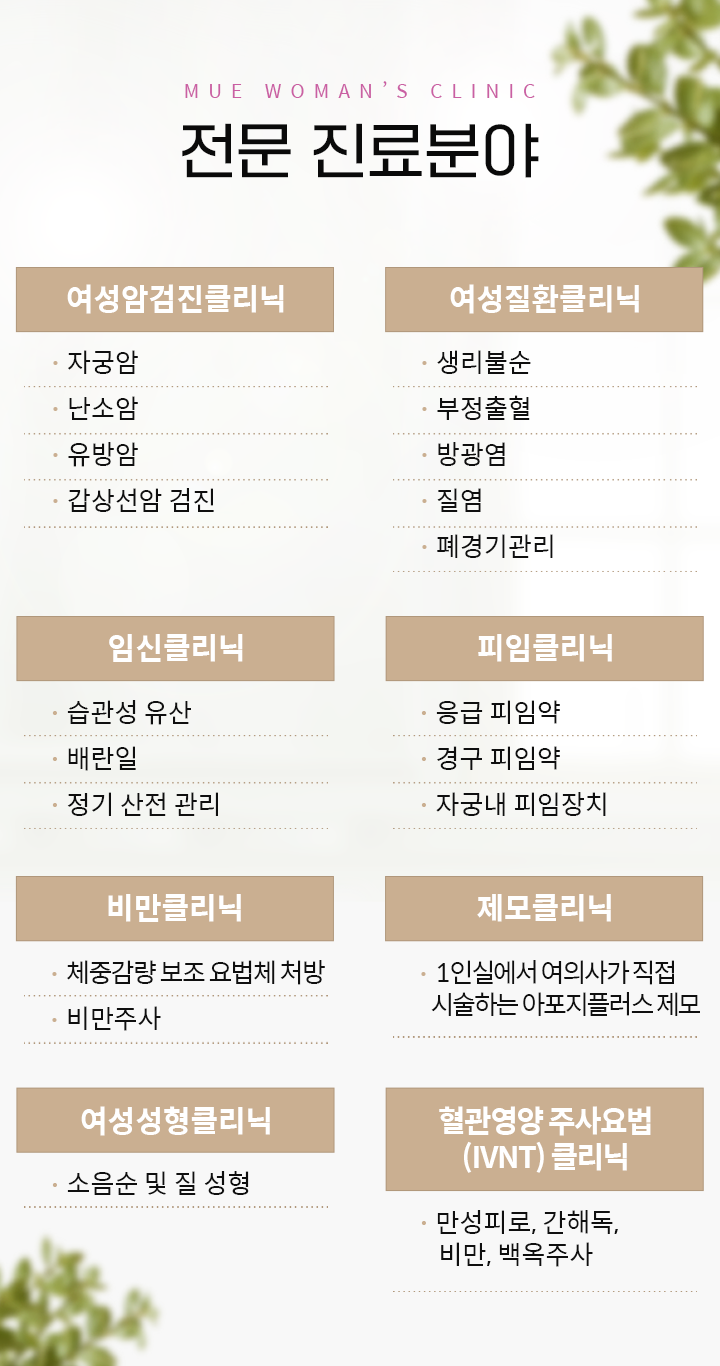 전문 진료분야